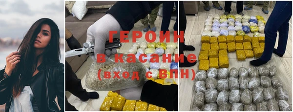сатива Каменногорск