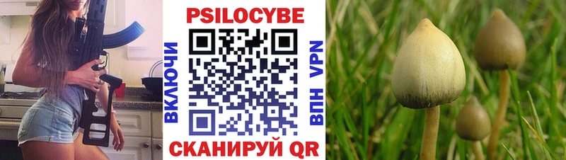 Галлюциногенные грибы мицелий  Тетюши 